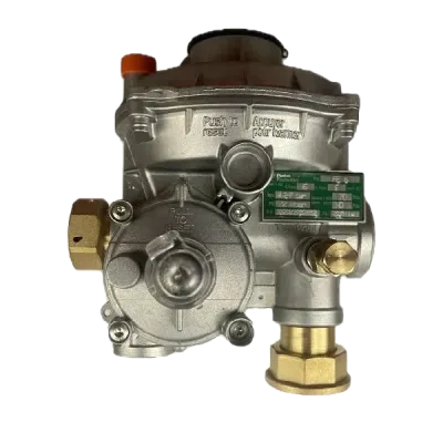 Regulador de gas fiorentini fe-6